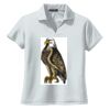 Ladies Dri Mesh ® V Neck Polo Thumbnail