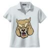 Ladies Dri Mesh ® V Neck Polo Thumbnail