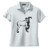 Ladies Dri Mesh ® V Neck Polo Thumbnail