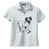 Ladies Dri Mesh ® V Neck Polo Thumbnail