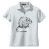 Ladies Dri Mesh ® V Neck Polo Thumbnail