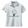 Ladies Dri Mesh ® V Neck Polo Thumbnail